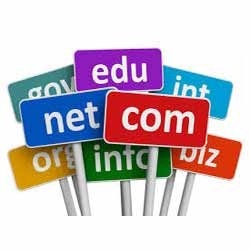 domain-selection-service